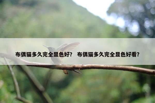 布偶猫多久完全显色好？ 布偶猫多久完全显色好看？