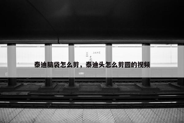 泰迪脑袋怎么剪，泰迪头怎么剪圆的视频