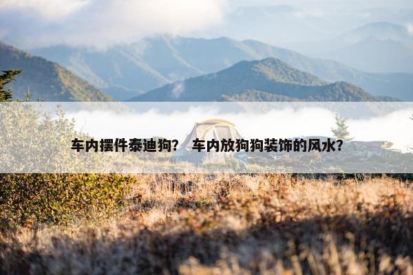 车内摆件泰迪狗？ 车内放狗狗装饰的风水？