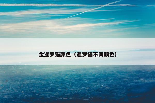 金暹罗猫颜色（暹罗猫不同颜色）