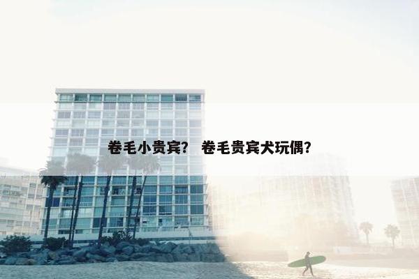 卷毛小贵宾？ 卷毛贵宾犬玩偶？