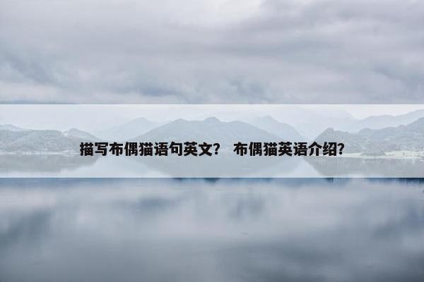 描写布偶猫语句英文？ 布偶猫英语介绍？