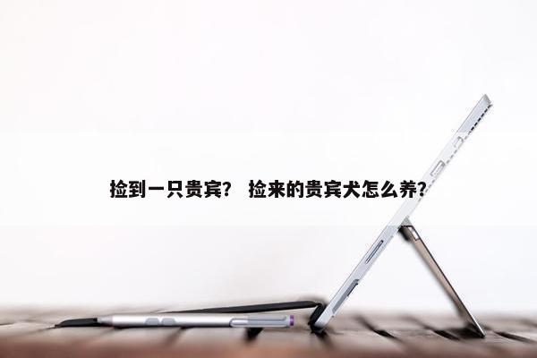 捡到一只贵宾？ 捡来的贵宾犬怎么养？