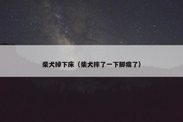 柴犬掉下床（柴犬摔了一下脚瘸了）