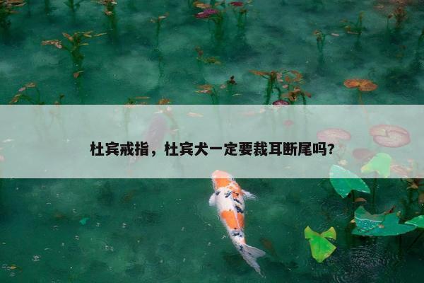 杜宾戒指，杜宾犬一定要裁耳断尾吗?