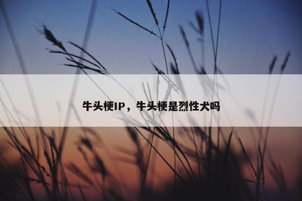 牛头梗IP，牛头梗是烈性犬吗