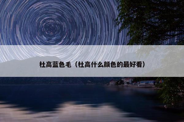 杜高蓝色毛（杜高什么颜色的最好看）