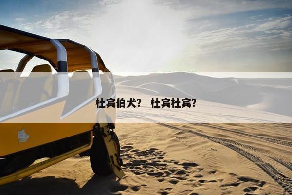 杜宾伯犬？ 杜宾杜宾？
