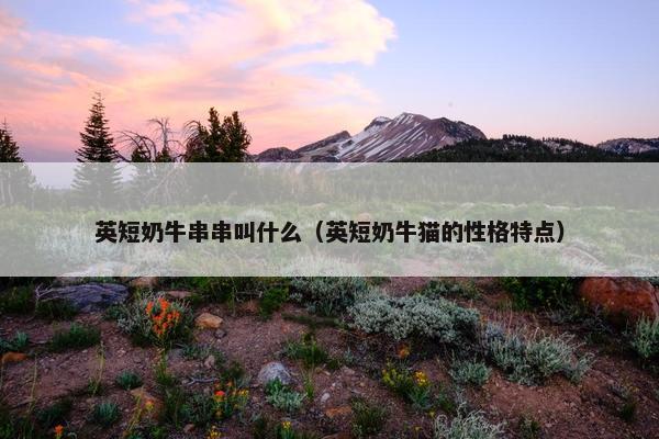 英短奶牛串串叫什么（英短奶牛猫的性格特点）