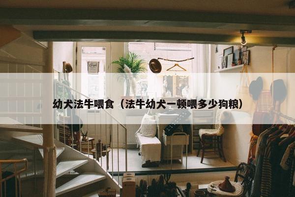 幼犬法牛喂食（法牛幼犬一顿喂多少狗粮）