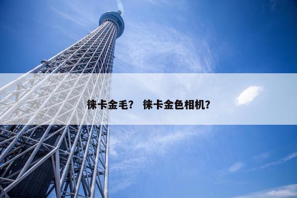 徕卡金毛？ 徕卡金色相机？