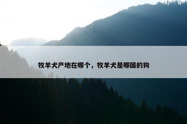 牧羊犬产地在哪个，牧羊犬是哪国的狗