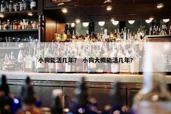 小狗能活几年？ 小狗大概能活几年？