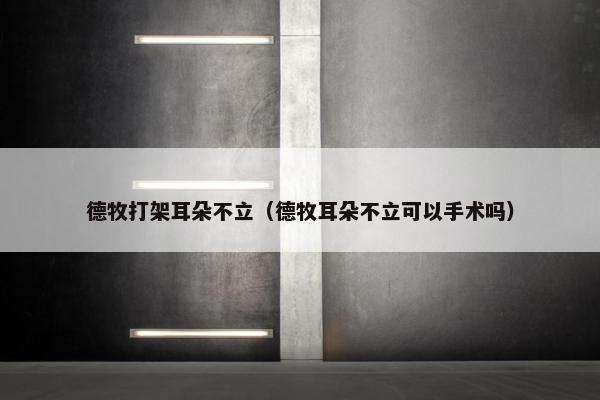 德牧打架耳朵不立（德牧耳朵不立可以手术吗）