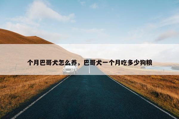 个月巴哥犬怎么养，巴哥犬一个月吃多少狗粮