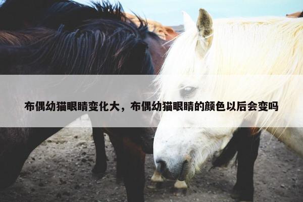 布偶幼猫眼睛变化大，布偶幼猫眼睛的颜色以后会变吗