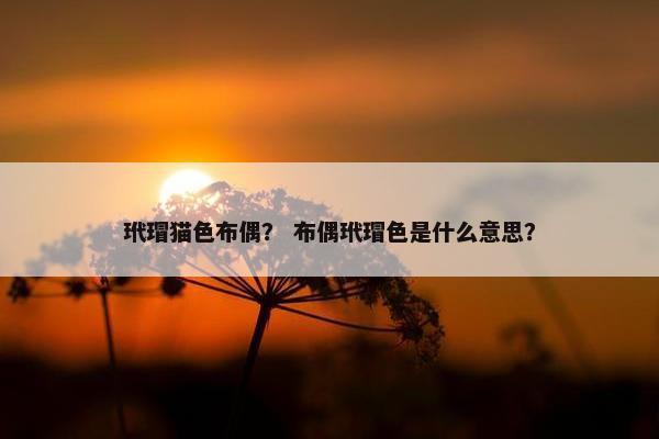玳瑁猫色布偶？ 布偶玳瑁色是什么意思？