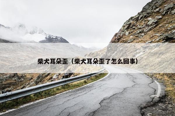柴犬耳朵歪（柴犬耳朵歪了怎么回事）