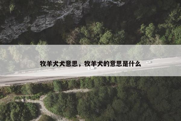 牧羊犬犬意思，牧羊犬的意思是什么