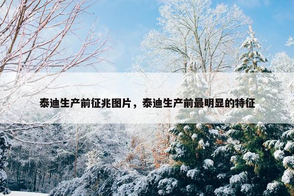 泰迪生产前征兆图片，泰迪生产前最明显的特征