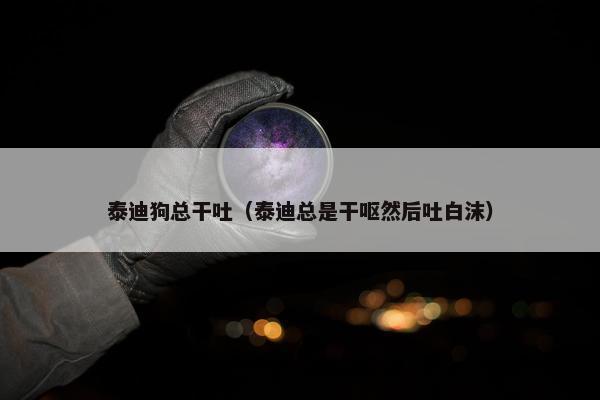 泰迪狗总干吐（泰迪总是干呕然后吐白沫）