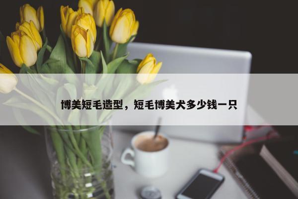 博美短毛造型，短毛博美犬多少钱一只