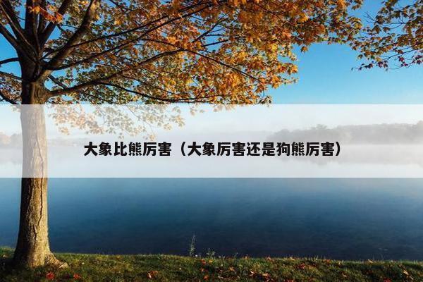 大象比熊厉害（大象厉害还是狗熊厉害）