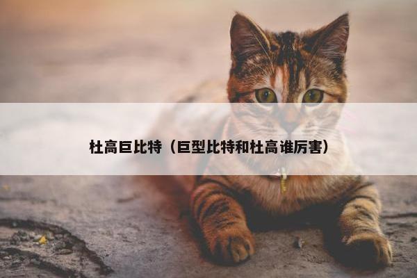 杜高巨比特（巨型比特和杜高谁厉害）