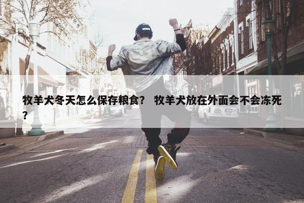 牧羊犬冬天怎么保存粮食？ 牧羊犬放在外面会不会冻死？