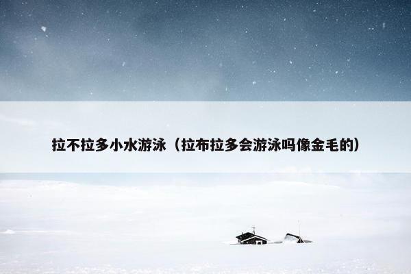 拉不拉多小水游泳（拉布拉多会游泳吗像金毛的）