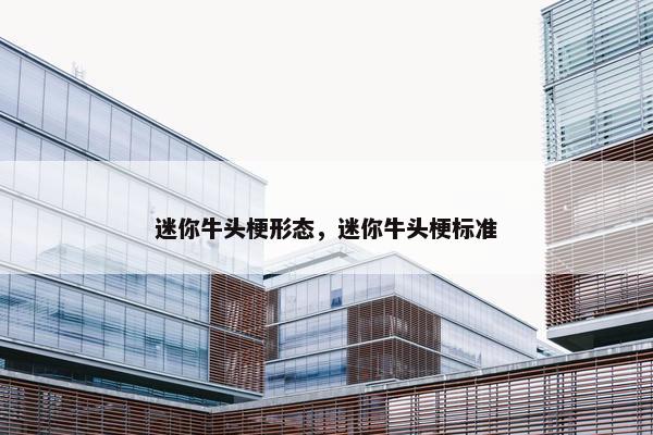 迷你牛头梗形态，迷你牛头梗标准