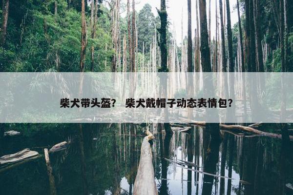 柴犬带头盔？ 柴犬戴帽子动态表情包？