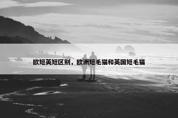 欧短英短区别，欧洲短毛猫和英国短毛猫