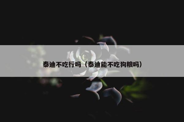 泰迪不吃行吗（泰迪能不吃狗粮吗）