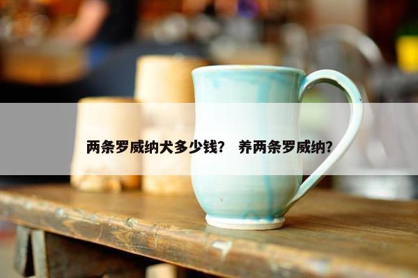 两条罗威纳犬多少钱？ 养两条罗威纳？