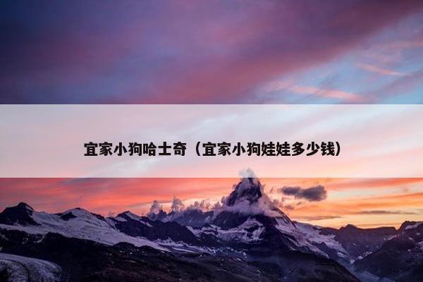 宜家小狗哈士奇（宜家小狗娃娃多少钱）
