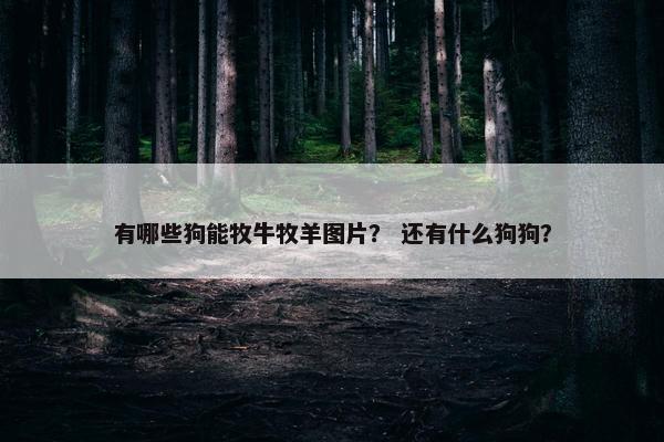 有哪些狗能牧牛牧羊图片？ 还有什么狗狗？