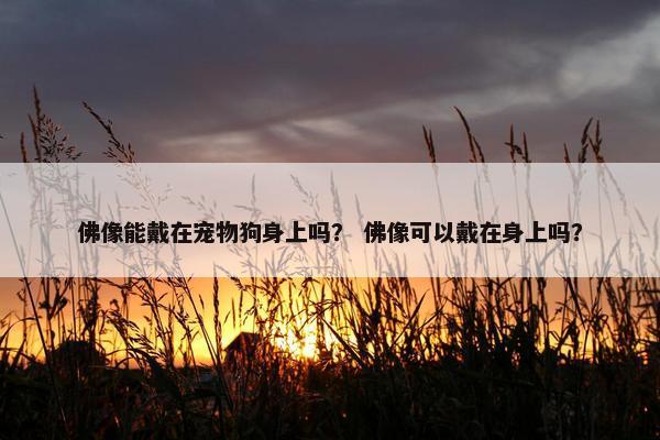 佛像能戴在宠物狗身上吗？ 佛像可以戴在身上吗？
