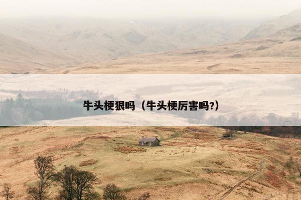 牛头梗狠吗（牛头梗厉害吗?）