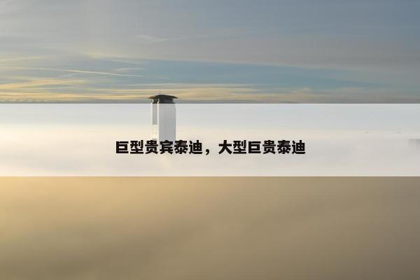 巨型贵宾泰迪，大型巨贵泰迪