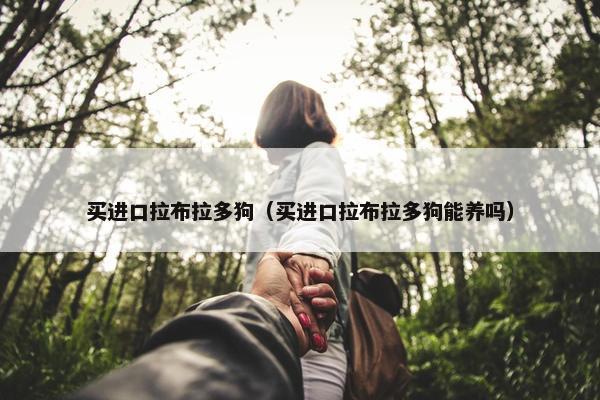 买进口拉布拉多狗（买进口拉布拉多狗能养吗）