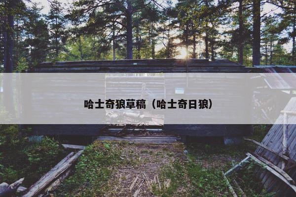 哈士奇狼草稿（哈士奇日狼）