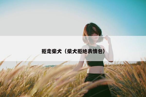 拒走柴犬（柴犬拒绝表情包）