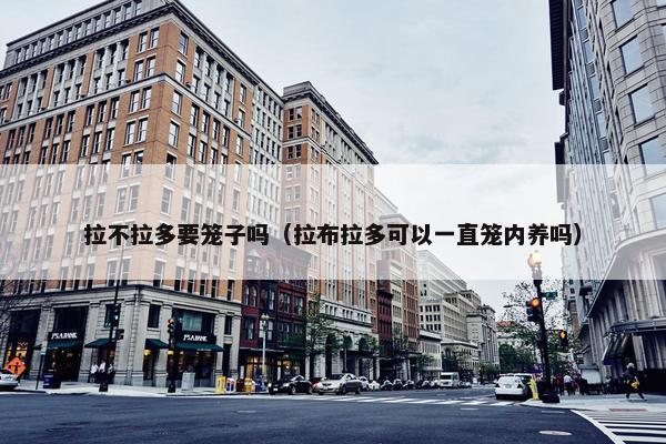 拉不拉多要笼子吗（拉布拉多可以一直笼内养吗）