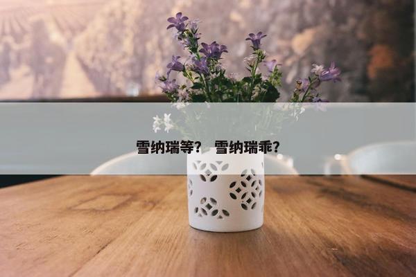 雪纳瑞等？ 雪纳瑞乖？