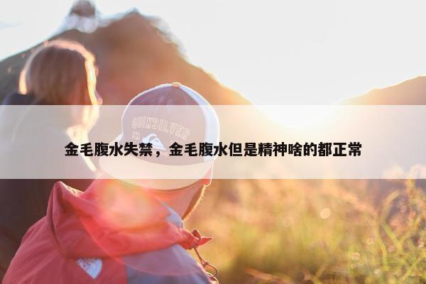 金毛腹水失禁，金毛腹水但是精神啥的都正常