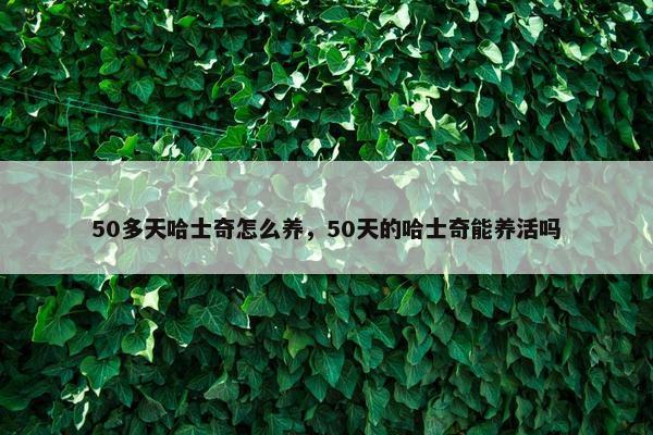 50多天哈士奇怎么养，50天的哈士奇能养活吗