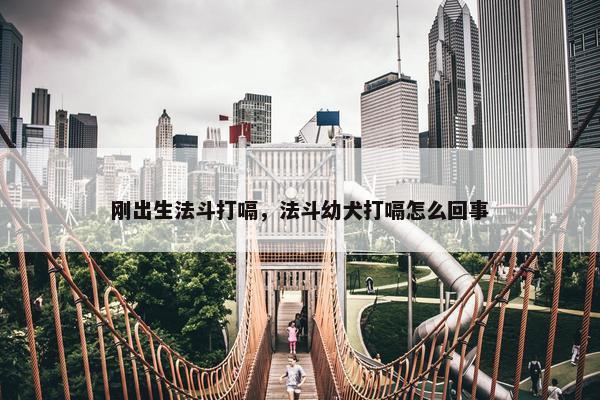 刚出生法斗打嗝，法斗幼犬打嗝怎么回事