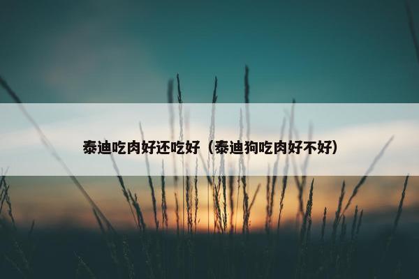 泰迪吃肉好还吃好（泰迪狗吃肉好不好）