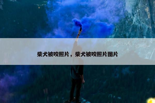 柴犬被咬照片，柴犬被咬照片图片